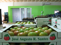 José Augusto R. Santos – Associados AIHO