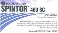 spintor