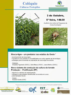 Mosca-tigre-e-sistema-PF