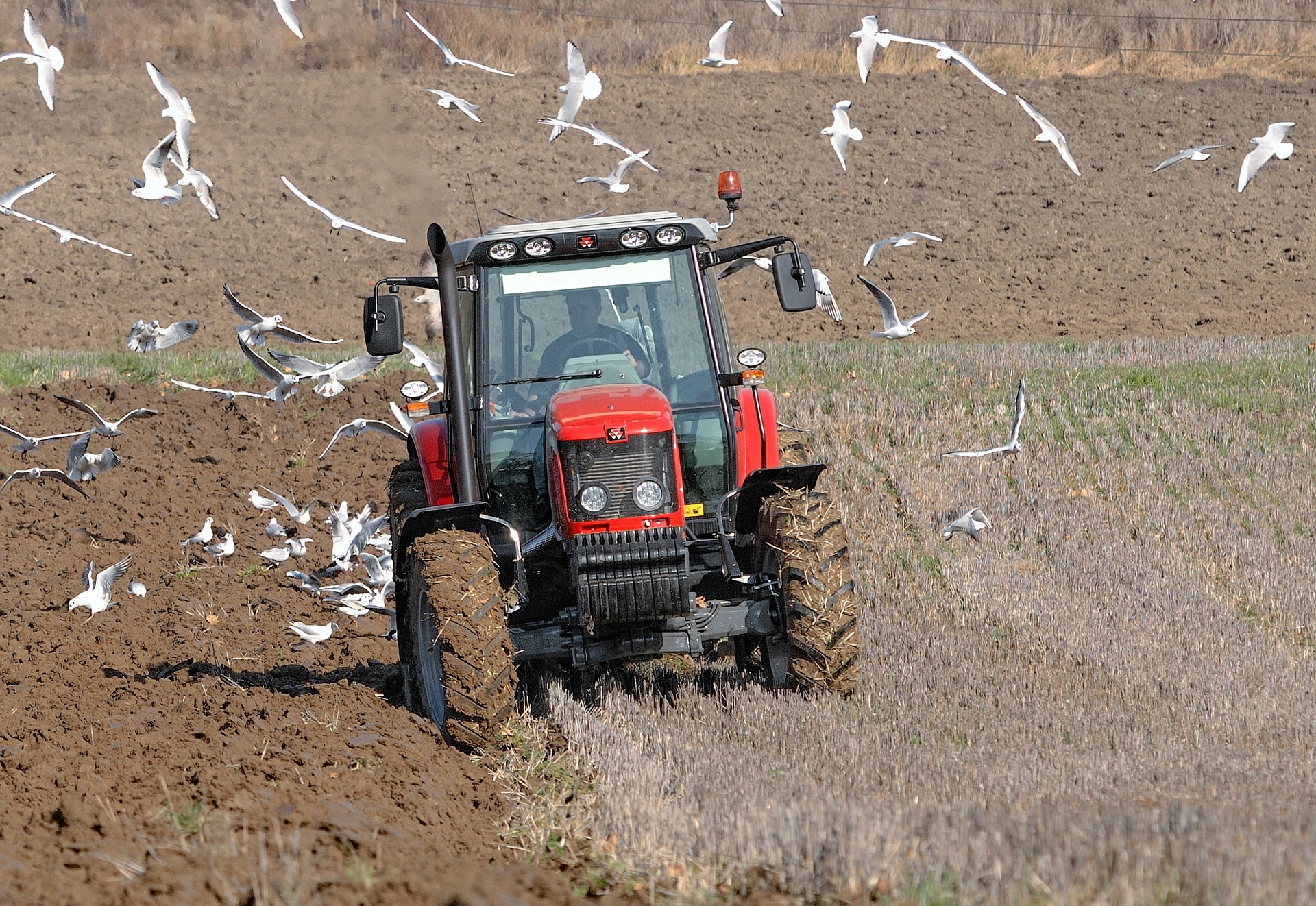 tractor-595106_1920