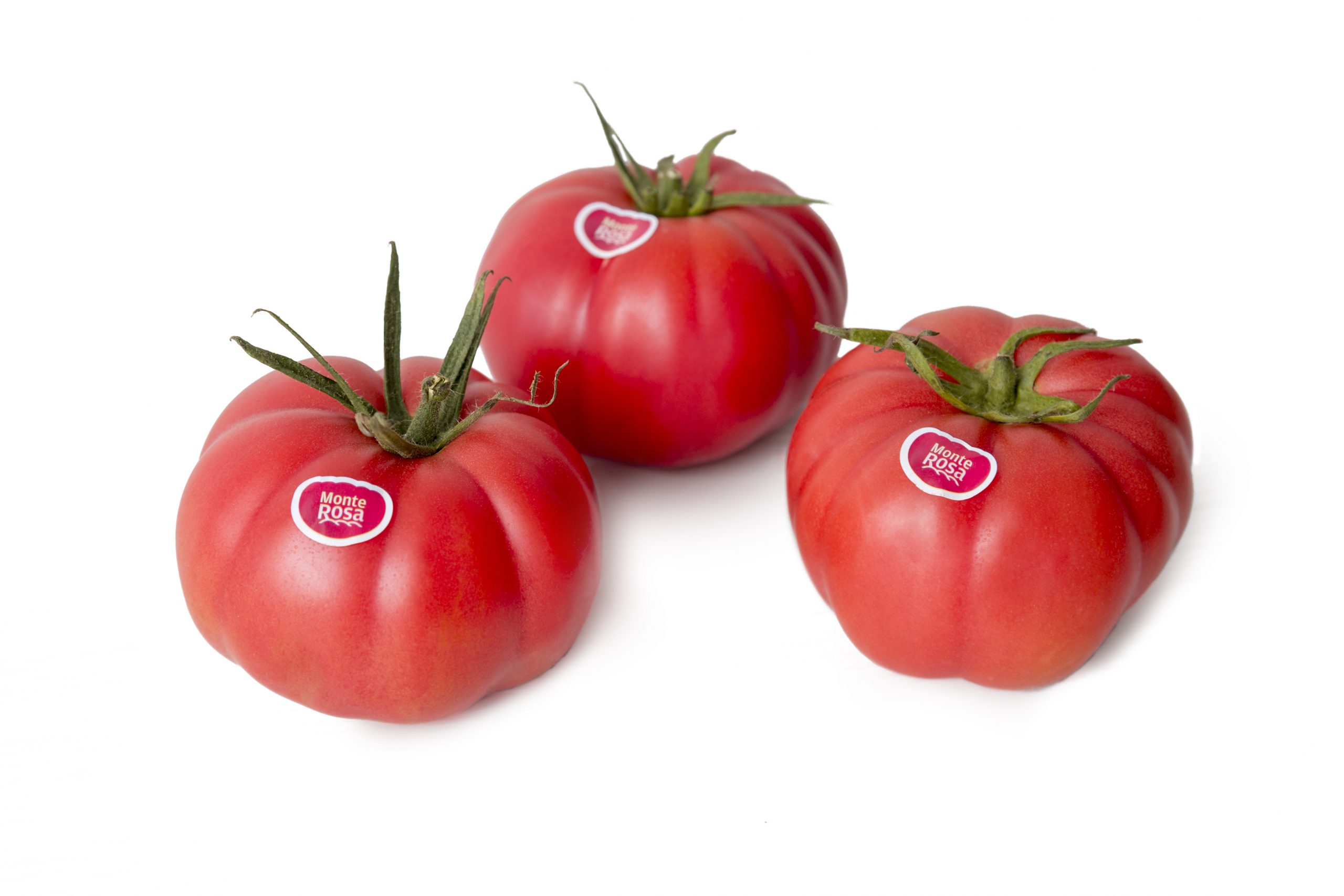 tomaterosa