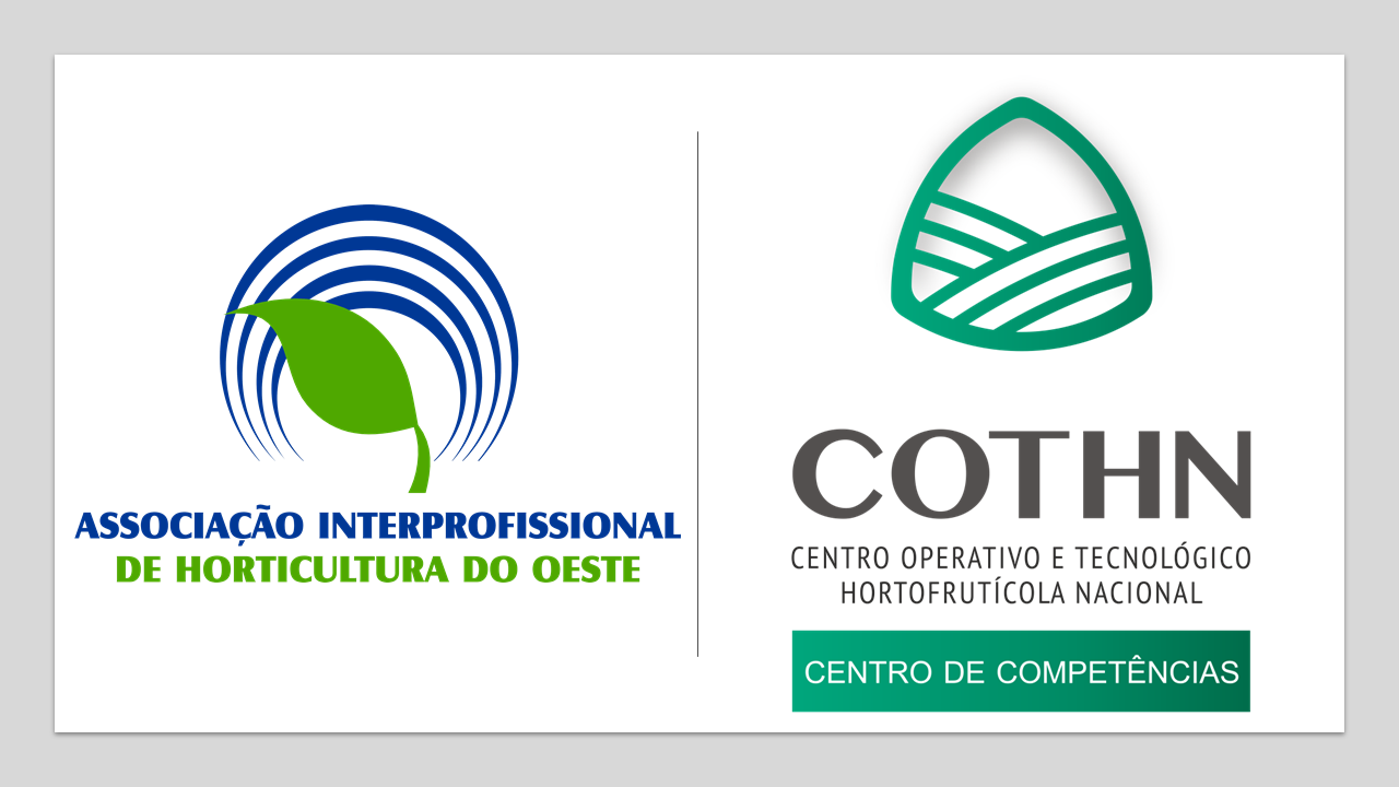 2LOGOS