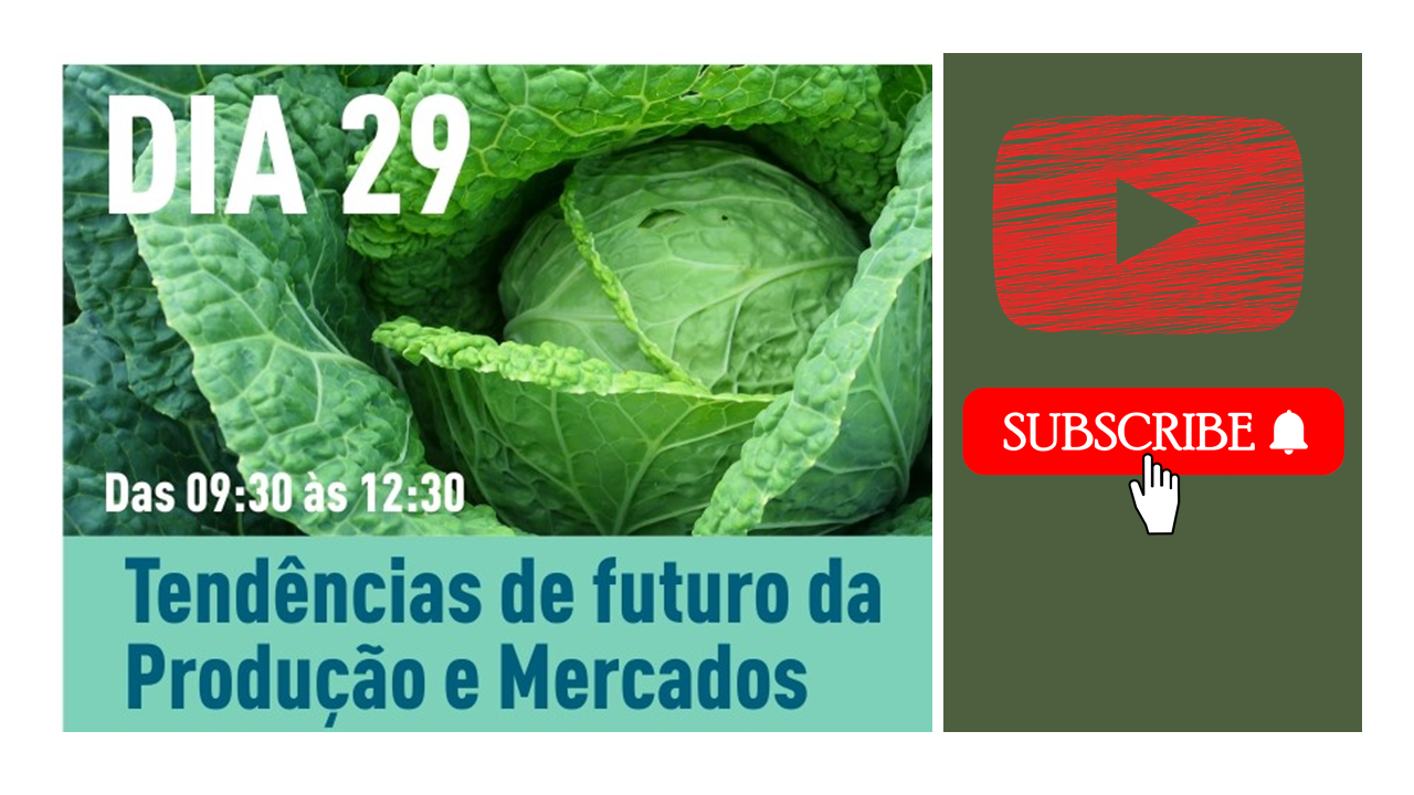 Lançamento 29-04 youtube