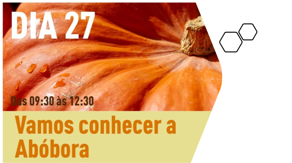 Vamos conhecer a abóbora