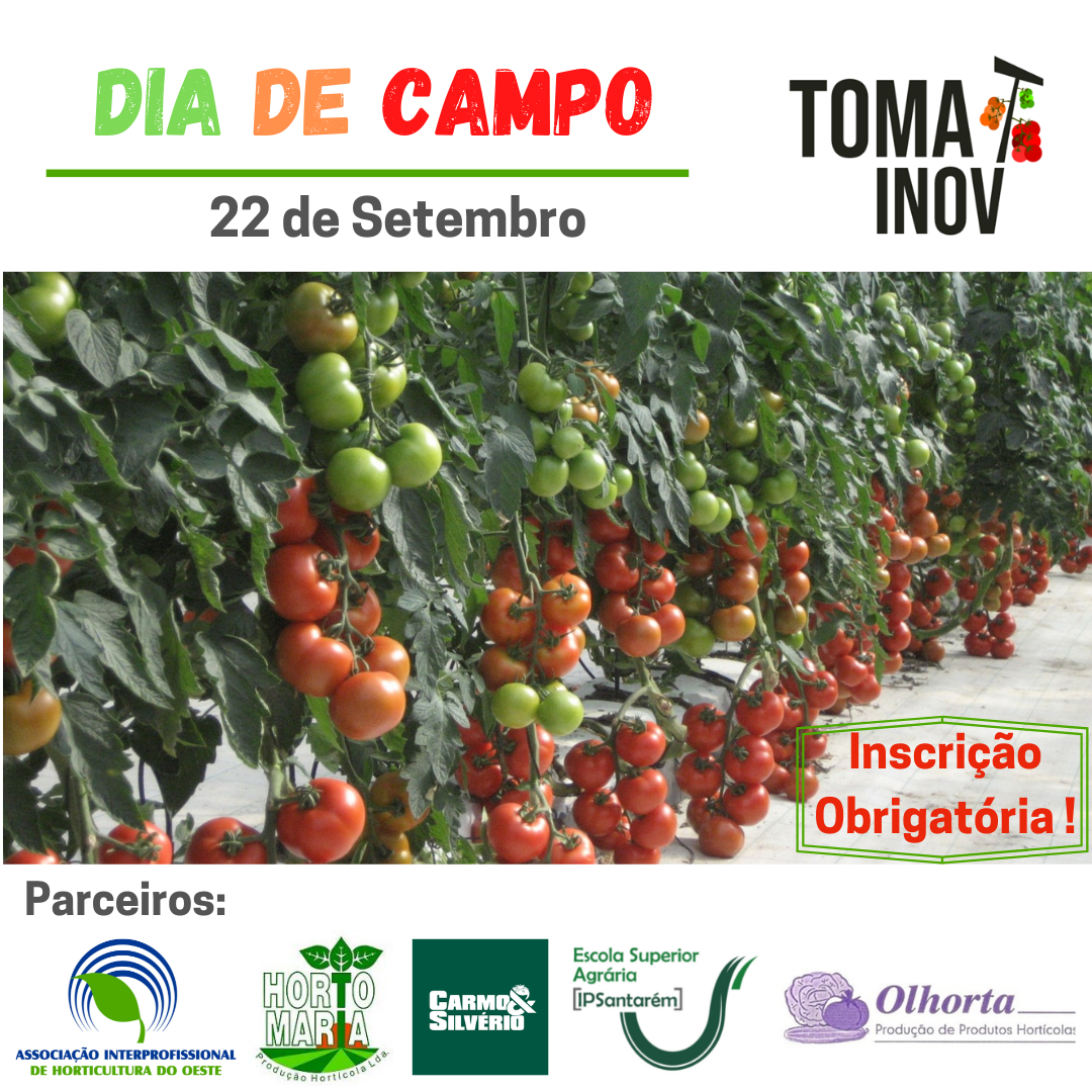 GO tomatinov instagram